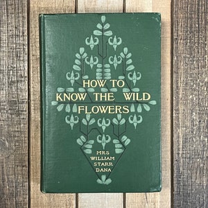 Rare Botany Book How To Know The Wild Flowers Green Home Decor Flower Garden Lily Orchids image 1