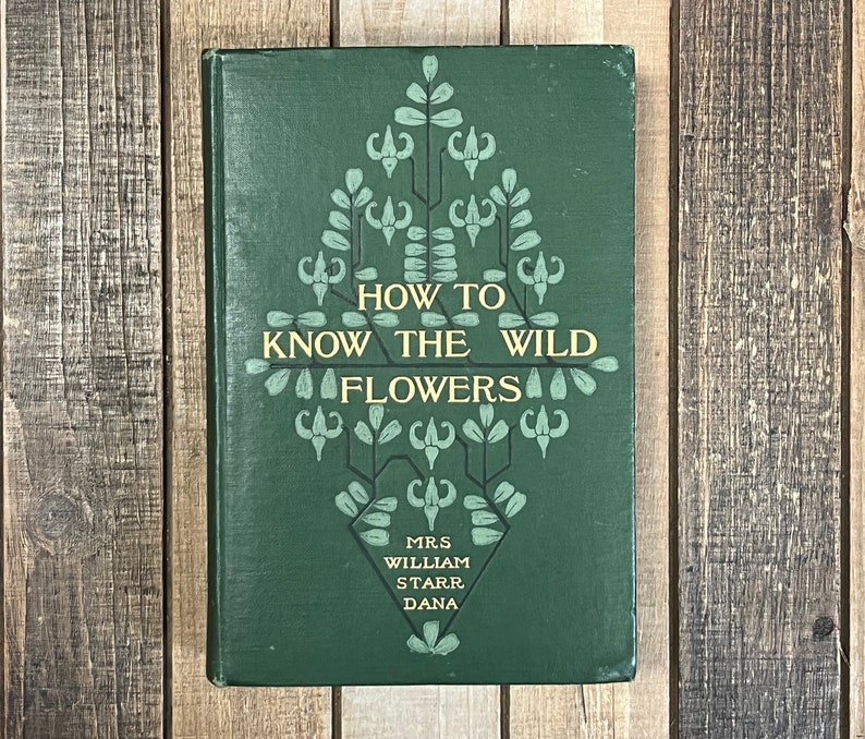 Rare Botany Book How To Know The Wild Flowers Green Home Decor Flower Garden Lily Orchids image 1