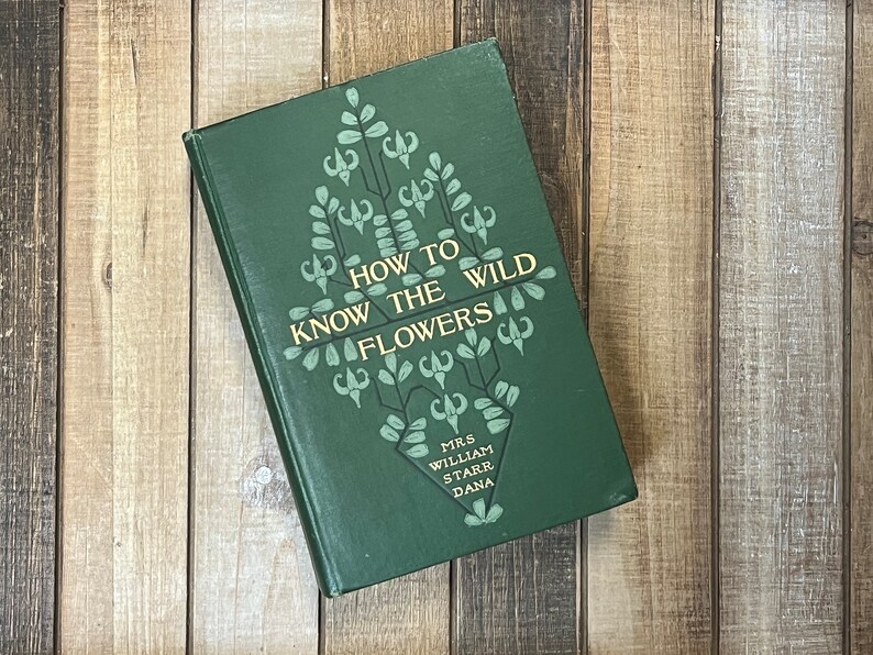 Rare Botany Book How To Know The Wild Flowers Green Home Decor Flower Garden Lily Orchids image 10