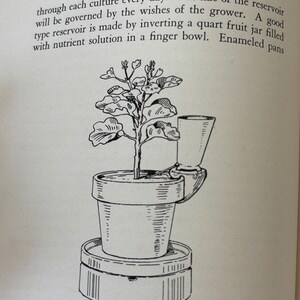 May include: An illustration from a vintage gardening book shows a potted plant with a unique watering system. The text reads "CHEMICAL GARDENING FOR THE AMATEUR". The plant sits atop a circular base, with a small cup attached to the side of the pot.
