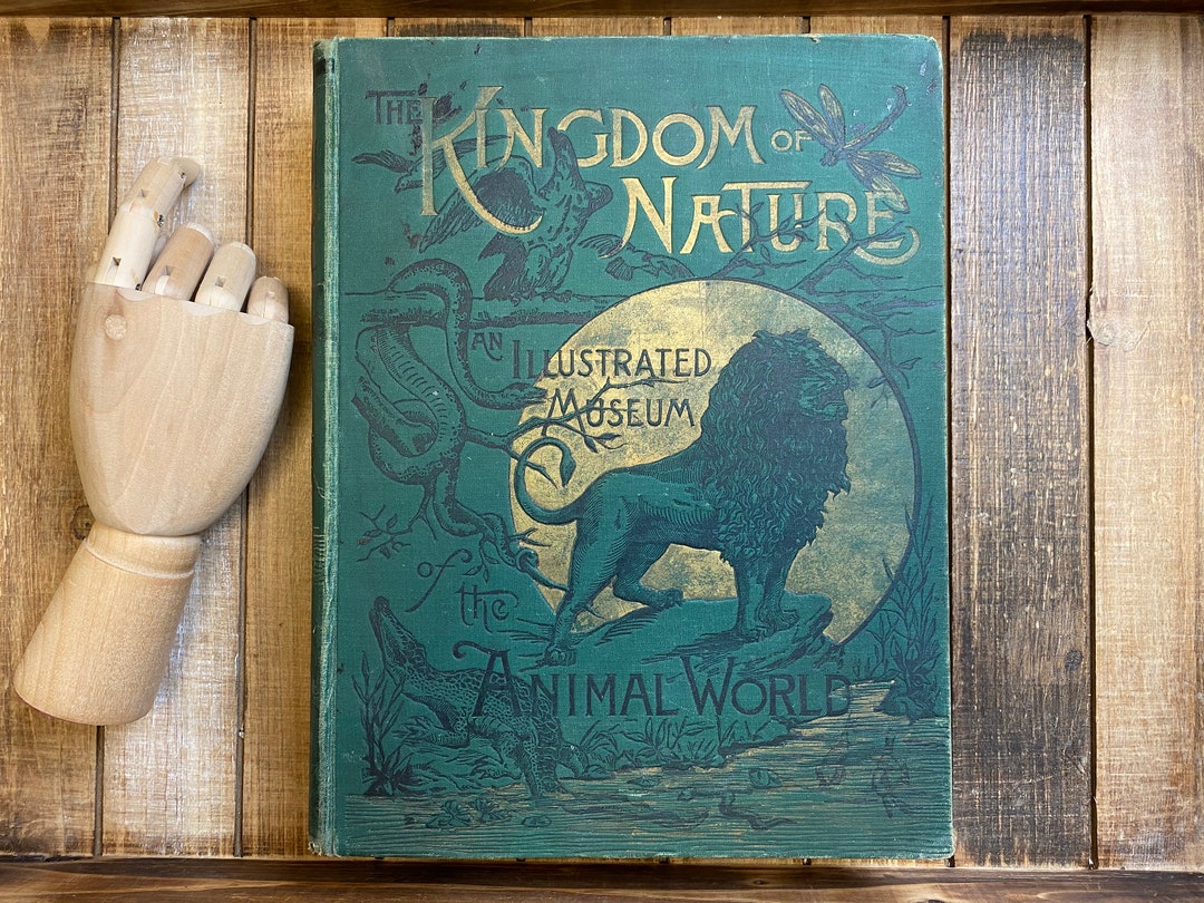 Vintage Animal Book the Kingdom of Nature Profusely Illustrated Vintage Book Great Condition
