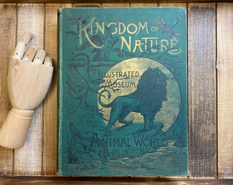 Vintage Animal Book The Kingdom Of Nature Profusely Illustrated Vintage Book Great Condition Extremely Rare