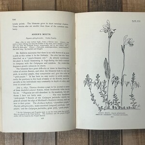 Rare Botany Book How To Know The Wild Flowers Green Home Decor Flower Garden Lily Orchids image 8