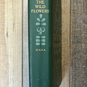 Rare Botany Book How To Know The Wild Flowers Green Home Decor Flower Garden Lily Orchids image 9