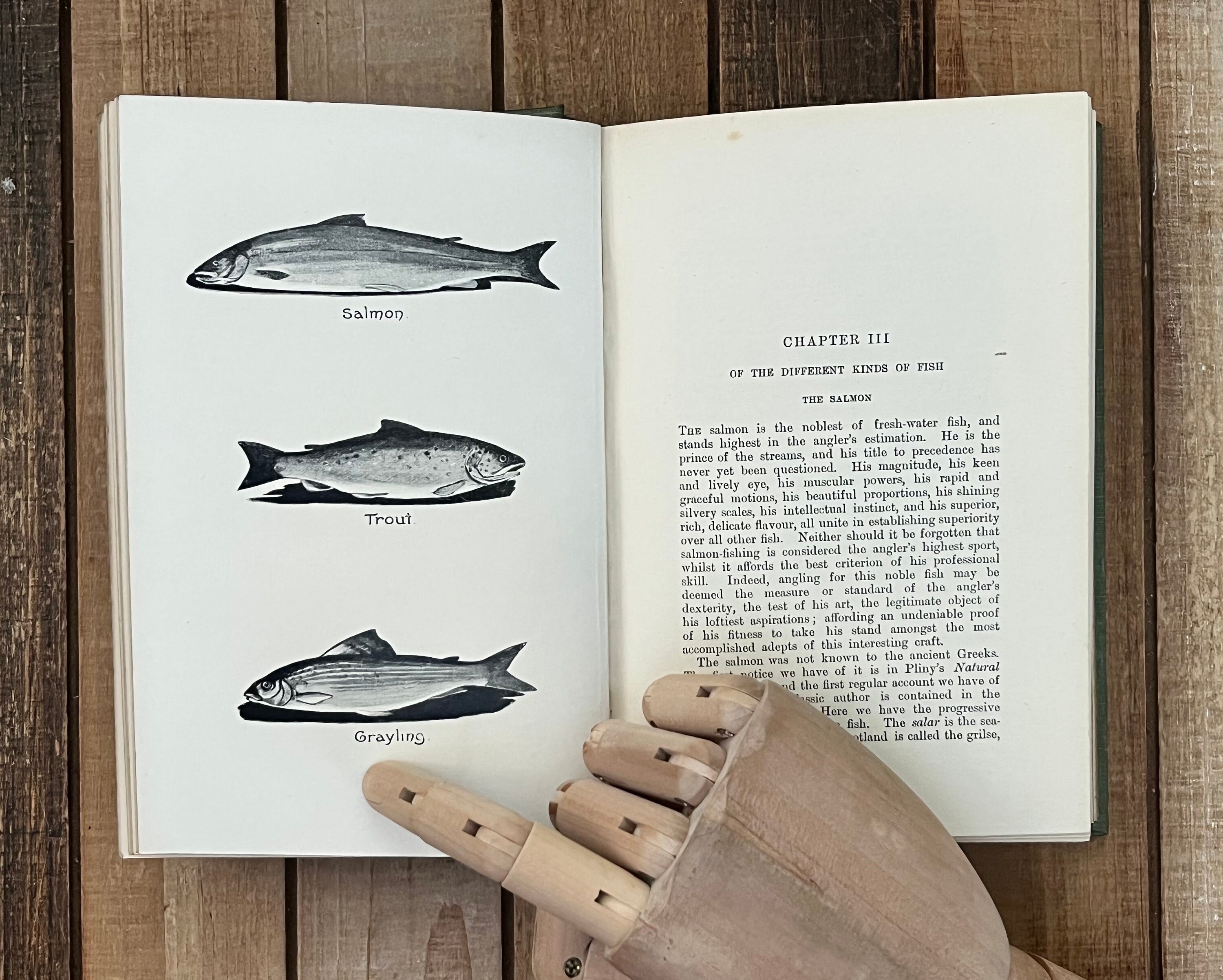 Un Catalogue De Pêche Guide De Pêche Robuste Vintage Pour Index