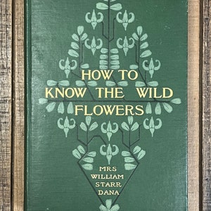 Rare Botany Book How To Know The Wild Flowers Green Home Decor Flower Garden Lily Orchids image 2