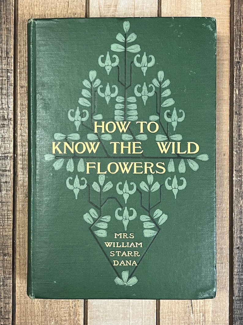 Rare Botany Book How To Know The Wild Flowers Green Home Decor Flower Garden Lily Orchids image 2