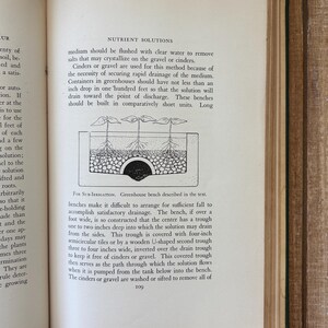 May include: Open book with text and an illustration of a greenhouse bench for sub-irrigation. The text discusses nutrient solutions, drainage, and the use of cinders or gravel. The illustration shows a cross-section of a bench with plants.