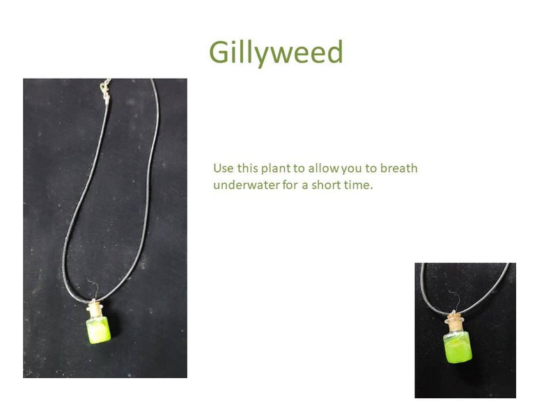 Harry Potter themed Polyjuice, Amortentia, Wolfsbane, Felix Felicis, Skele-Gro, Veritaserum, and Elixir of Life Potion Necklaces Gillyweed