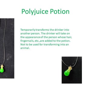 Harry Potter themed Polyjuice, Amortentia, Wolfsbane, Felix Felicis, Skele-Gro, Veritaserum, and Elixir of Life Potion Necklaces Polyjuice Potion