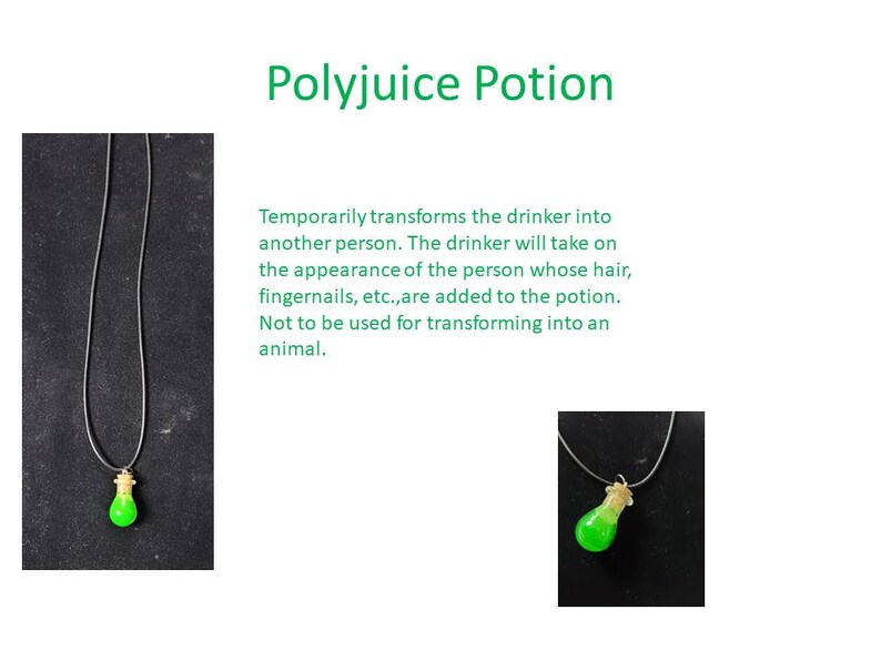 Harry Potter themed Polyjuice, Amortentia, Wolfsbane, Felix Felicis, Skele-Gro, Veritaserum, and Elixir of Life Potion Necklaces Polyjuice Potion