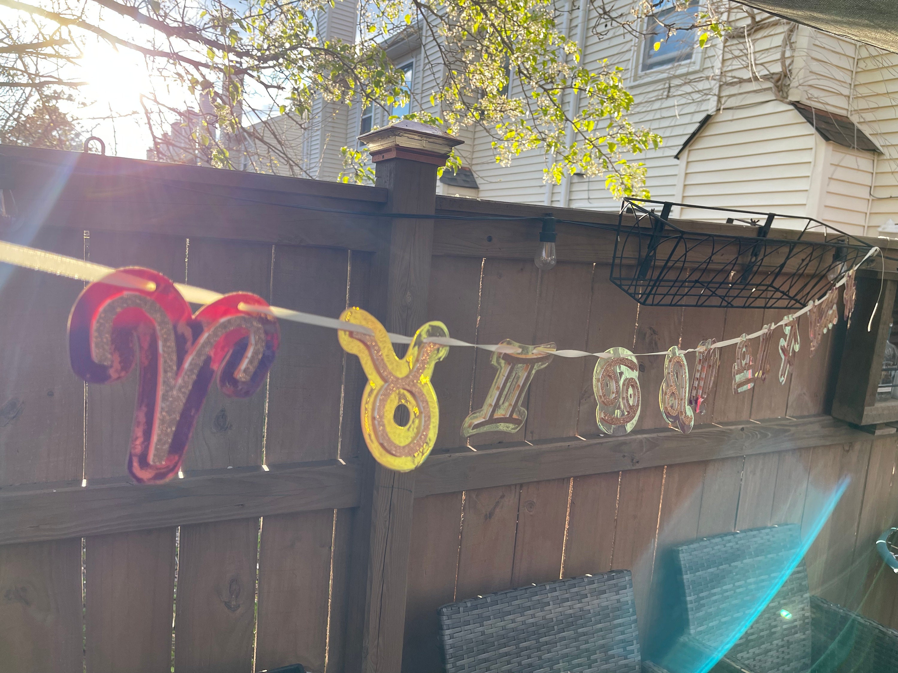 Zodiac Signs Banner Zodiac Season Party Decoration Group Birthday Party
