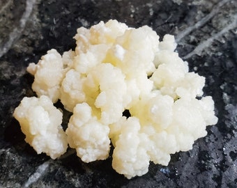 Live Milk Kefir Grains: 2 TBS, Probiotic Culture with Instructions