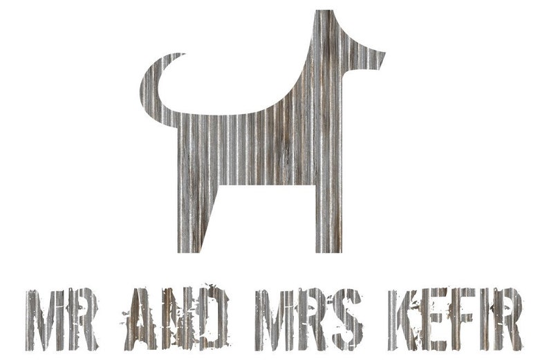 Granos de kéfir de leche viva: cultivo probiótico totalmente natural imagen 4