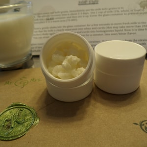 Kefir grains live all natural milk kefir grains probiotic scoby ferment health beneficial bacteria symbiotic culture bacteria yeast fresh