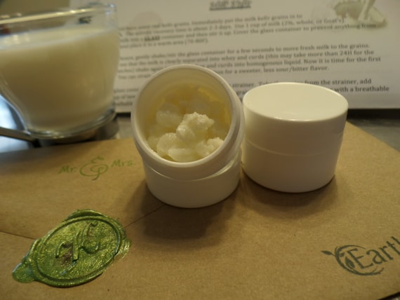 Kefir grains live all natural milk kefir grains probiotic scoby ferment healthy beneficial bacteria symbiotic culture bacteria yeast