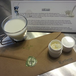 Granos de kéfir de leche viva: cultivo probiótico totalmente natural imagen 3