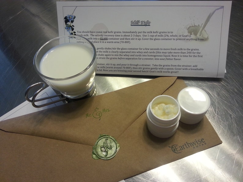 Granos de kéfir de leche viva: cultivo probiótico totalmente natural imagen 3