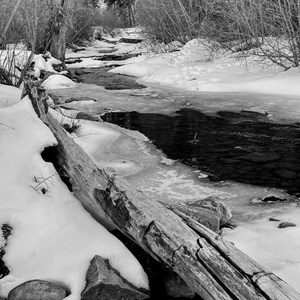 Snowy Creek