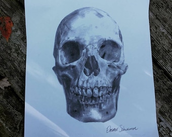 Skull Drawing Print