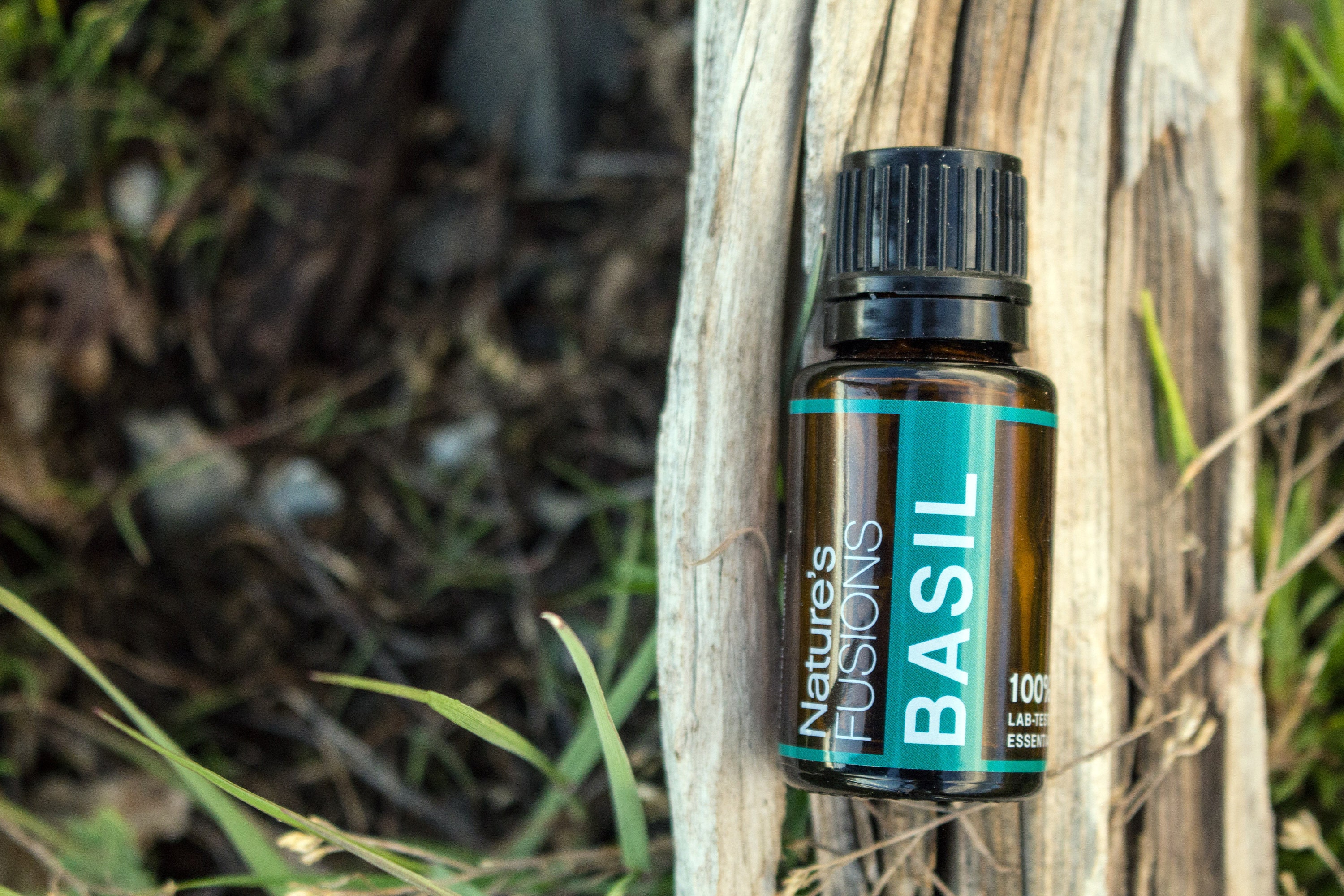 Buy Basil Essential Oil 15ml Ocimum Basilicum 100 Pure Online in India