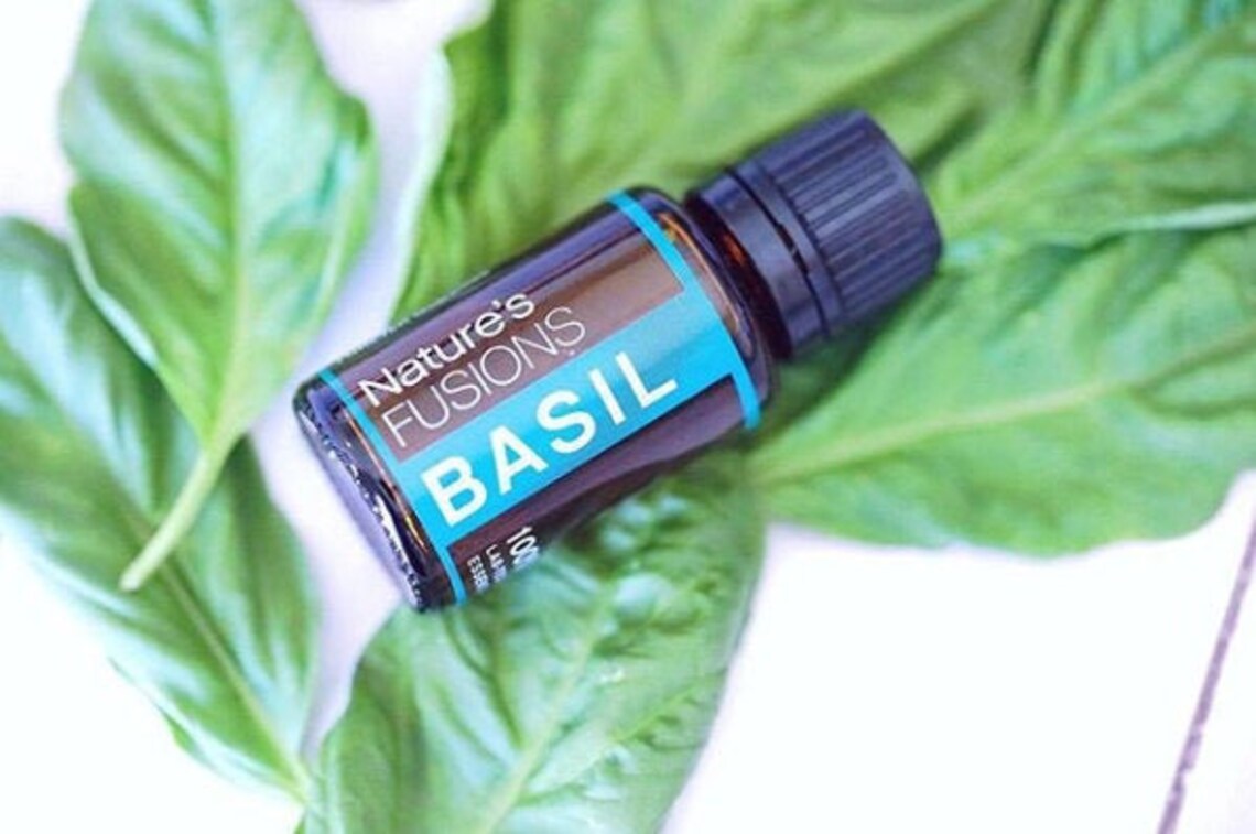 Buy Basil Essential Oil 15ml Ocimum Basilicum 100 Pure Online in India