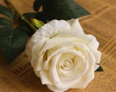 Articles Similaires à 10 Tiges De Rose Blanche à Longue Tige