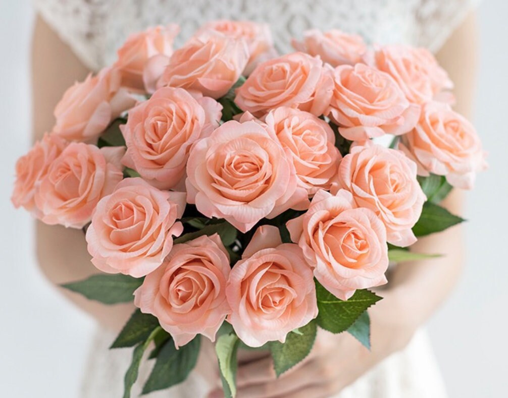 Peach Stem Roses Long Stem Silk Rose Rose Bush Artificial