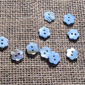 Pode incluir: Uma coleção de nove botões pequenos em forma de flor feitos de madrepérola iridescente. Cada botão apresenta uma superfície lisa e brilhante com um brilho subtil e dois orifícios centrais para fixação, exibindo variações naturais de cor.