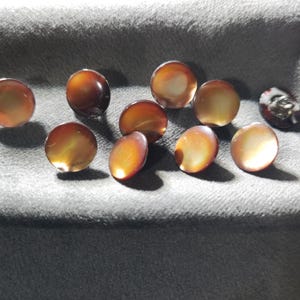Brown Natural Shell Buttons with Metal Shank, Iridescent, 11.5mm / 0.45", Pack of 10(B1456)