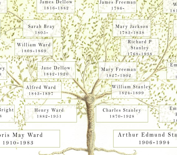 Genealogy Chart