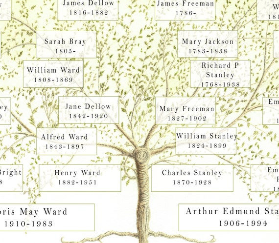 Family Tree Genealogy Chart Printing