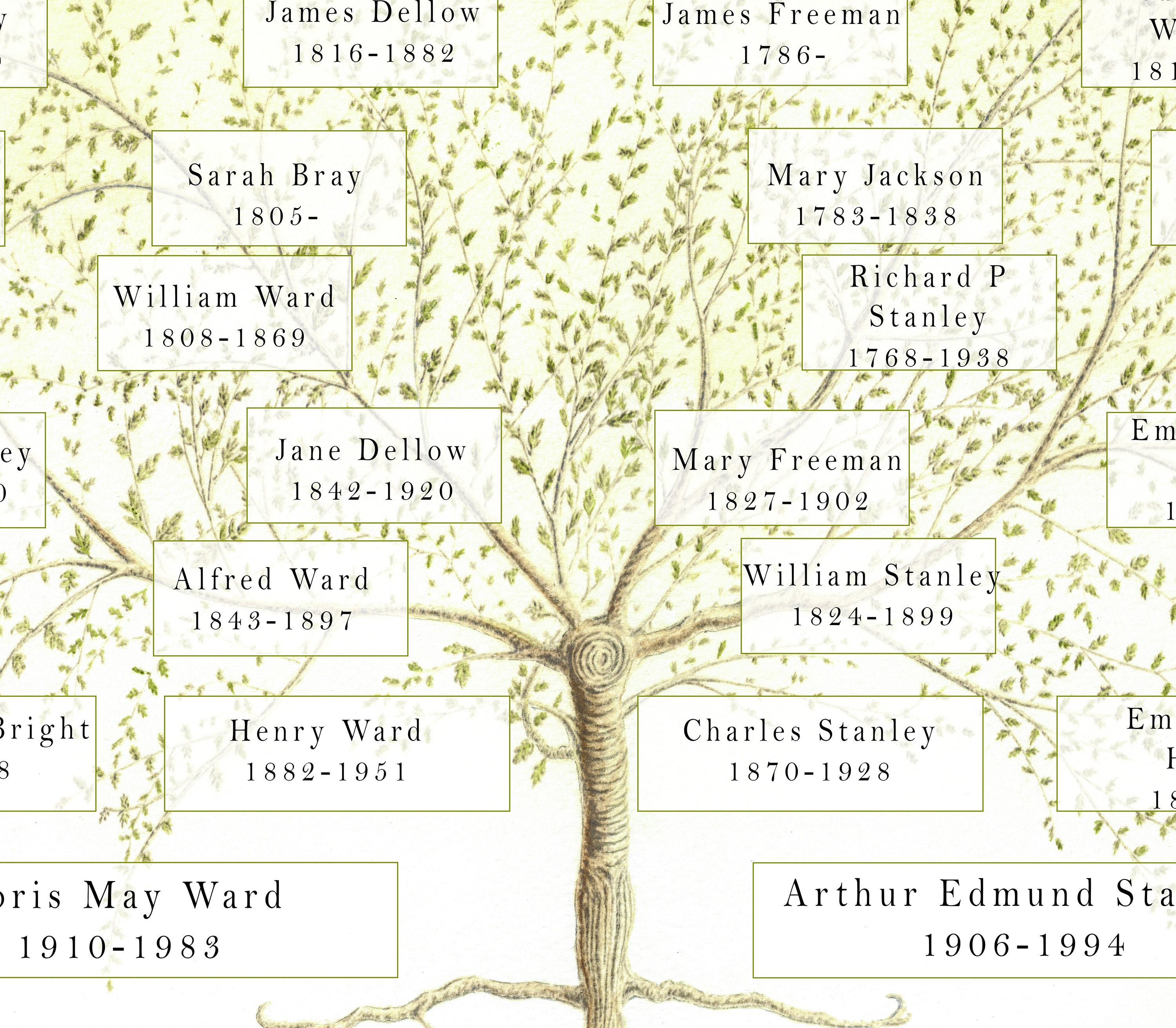 Family Tree All In One Chart