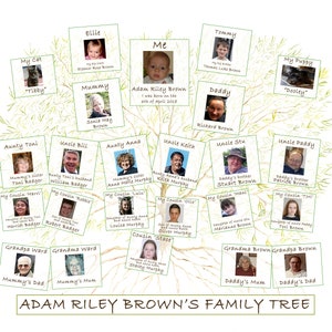 Family Tree for Child. A custom print of baby ancestry perfect for a child's bedroom or living room. image 1