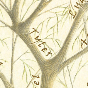Puede incluir: Una ilustraci&oacute;n dibujada a mano de un &aacute;rbol geneal&oacute;gico con nombres escritos en las ramas. Los nombres incluyen "Tyler", "Anne" y "Luna".