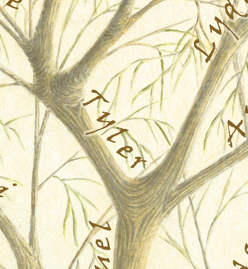 Puede incluir: Una ilustraci&oacute;n dibujada a mano de un &aacute;rbol geneal&oacute;gico con nombres escritos en las ramas. Los nombres incluyen "Tyler", "Anne" y "Luna".