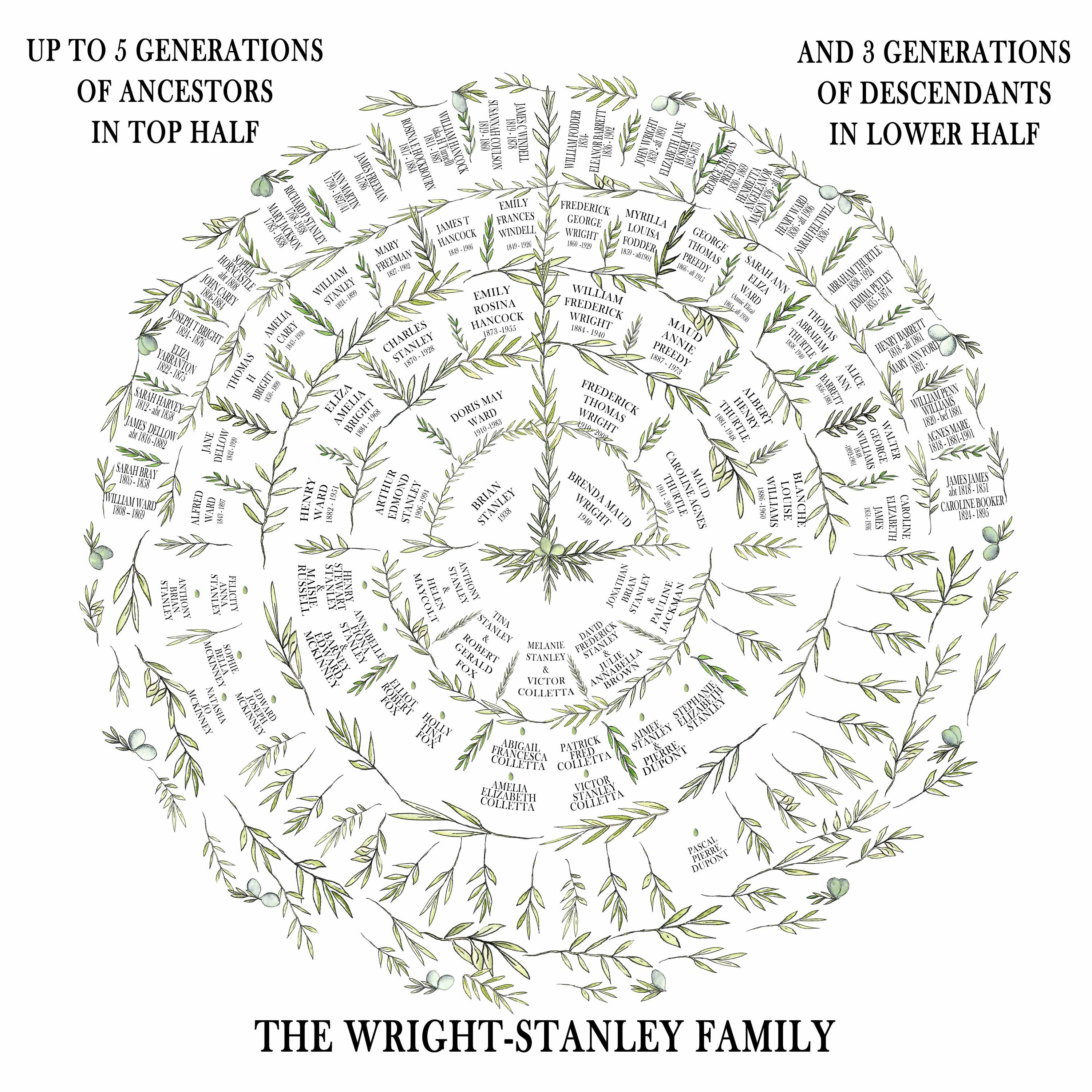 8 Generation Fan Chart