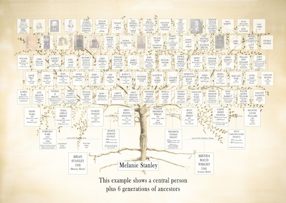 Family History Gifts – The Signature Pedigree – the genealogy girl