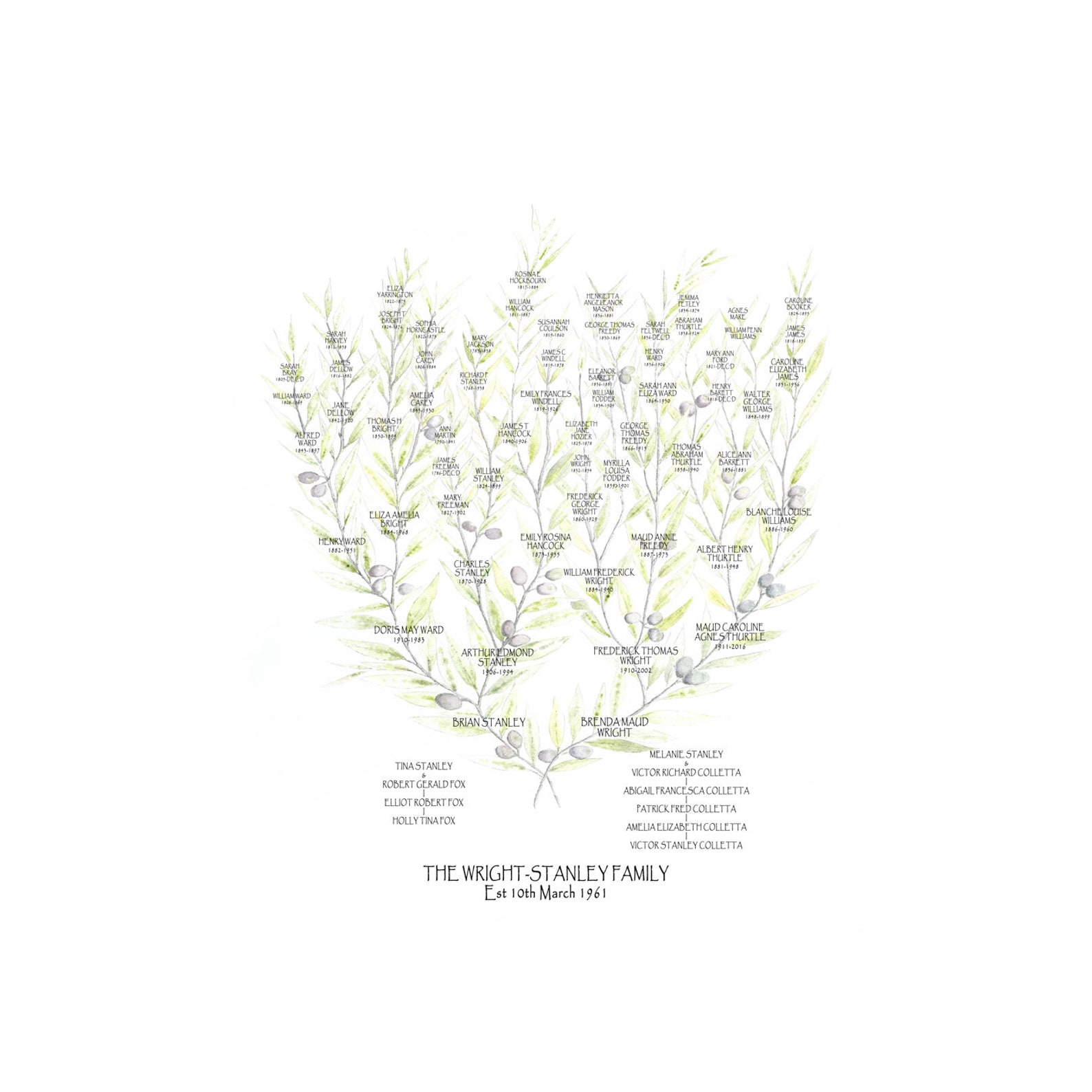 Olive Family Tree JPEG Personalised Ancestry Chart Custom Etsy