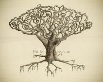 Giclee print of watercolour and pen and ink artwork featuring an abstract tree with tangled, twining branches in sepia