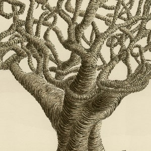 Giclee print of watercolour and pen and ink artwork featuring an abstract tree with tangled, twining branches in sepia image 2