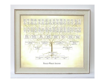 Framed family chart showing around 5 generations of ancestors or up to 75 family members, ancestor and descendant combination.