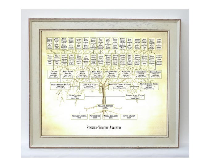 Framed family chart showing around 5 generations of ancestors or up to 75 family members, ancestor and descendant combination.