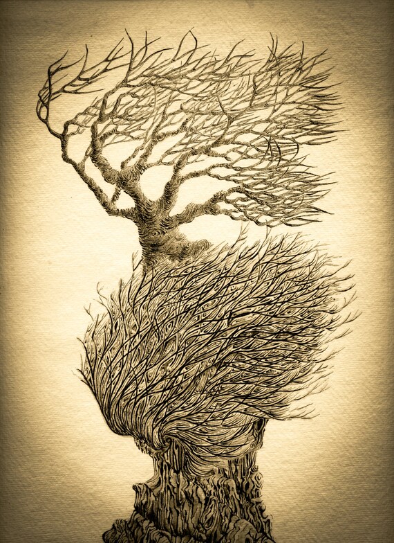 Aquarelle Dimpression Stylo Et Encre Dessin Arbre Imprimer Signé Art Print Giclee Print Aquarelle Crayon Et Encre Illustration