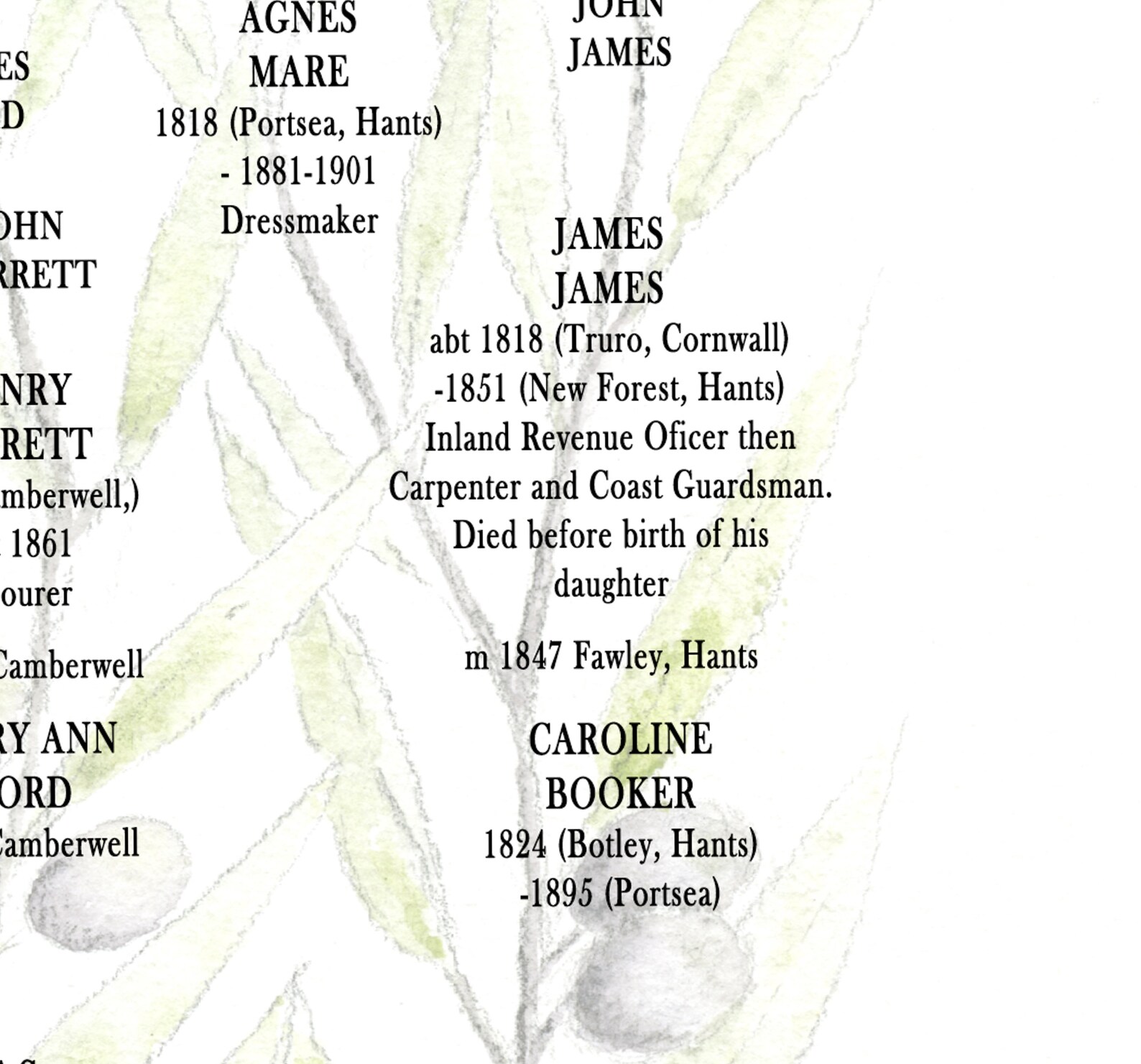 Olive Family Tree JPEG Personalised Ancestry Chart Custom Etsy