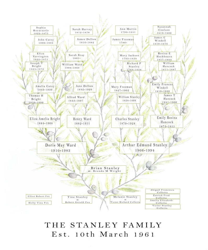 Watercolour Olive Family Tree for up to 7 Generations of Etsy