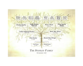 Family tree chart for large and small families, customised layout for ancestors and or descendants, option to include dates and occupations.