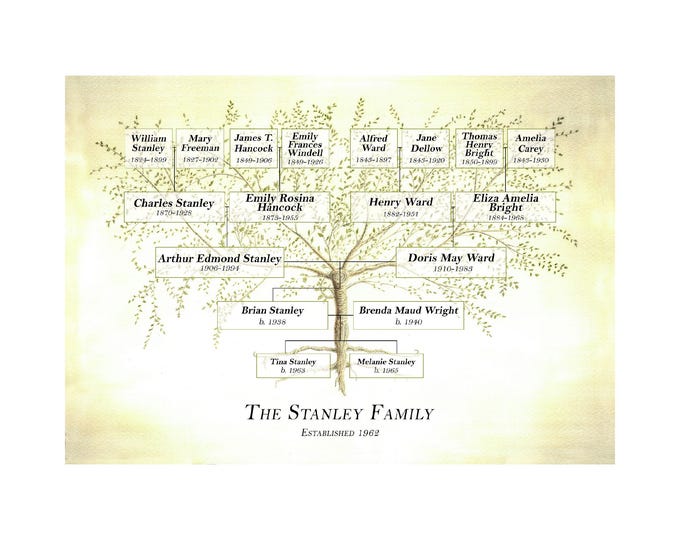 Family tree chart for large and small families, customised layout for ancestors and or descendants, option to include dates and occupations.