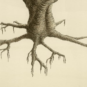 Giclee print of watercolour and pen and ink artwork featuring an abstract tree with tangled, twining branches in sepia image 4