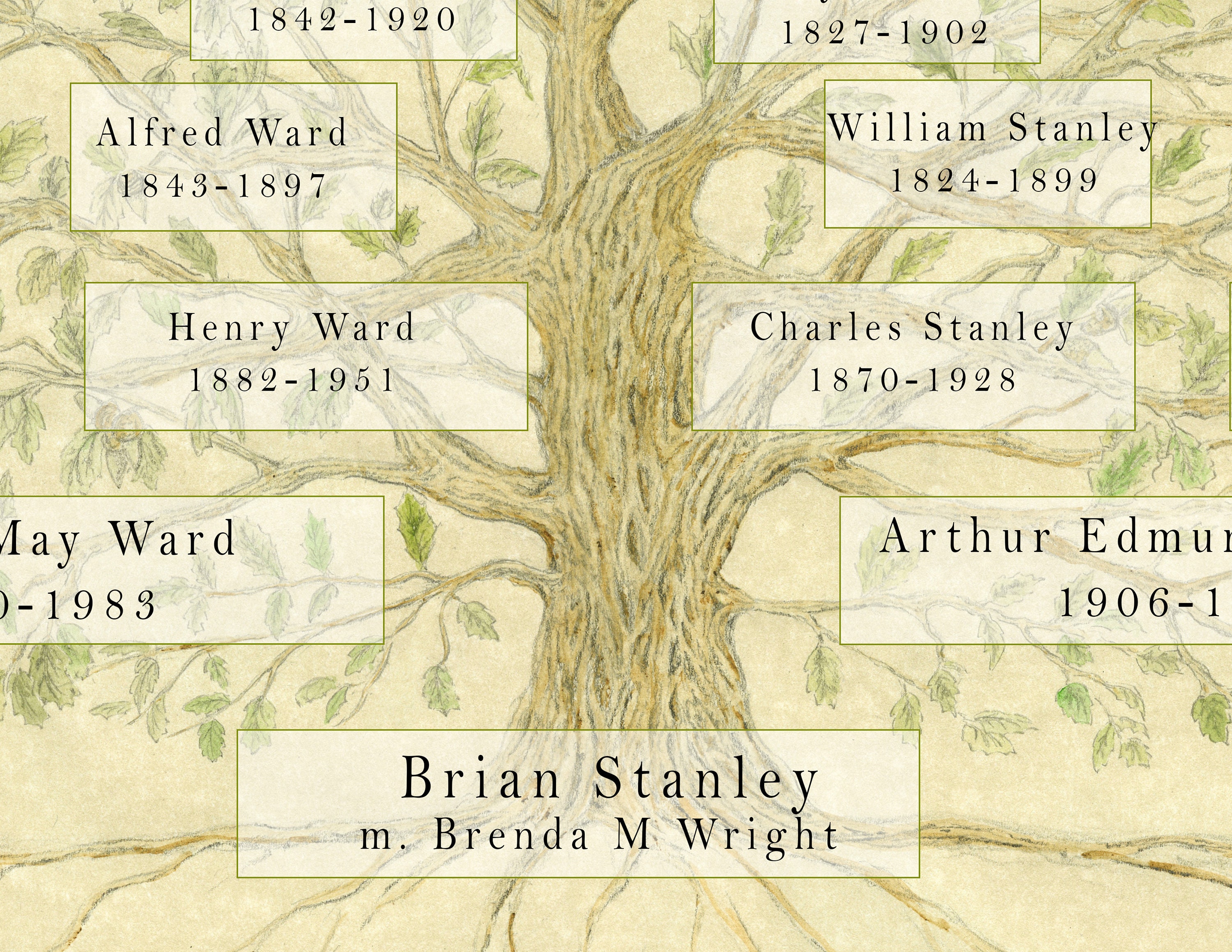 Custom Family Tree